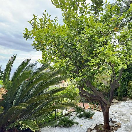 Villa Cielo Costarainera Exteriör bild