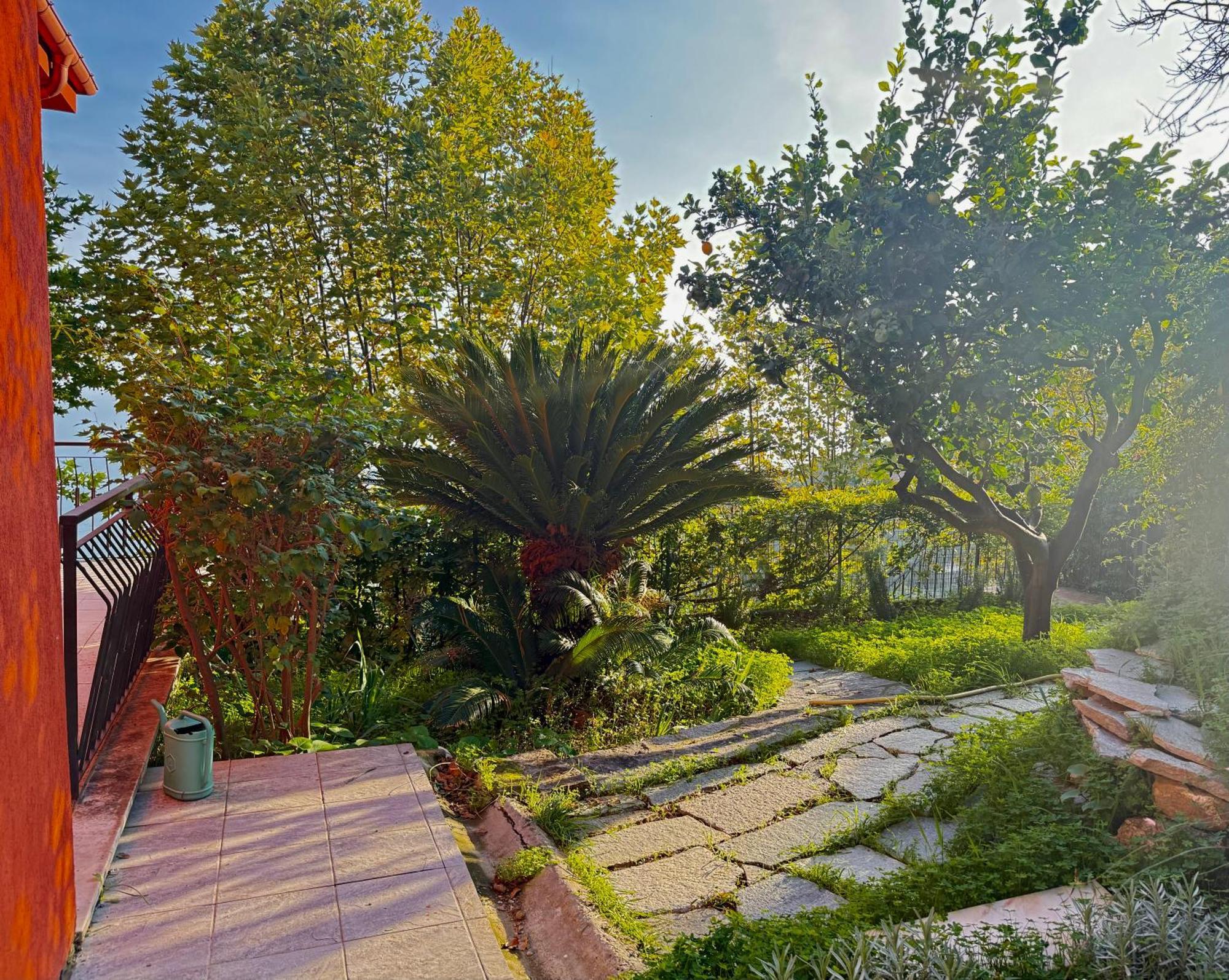 Villa Cielo Costarainera Exteriör bild