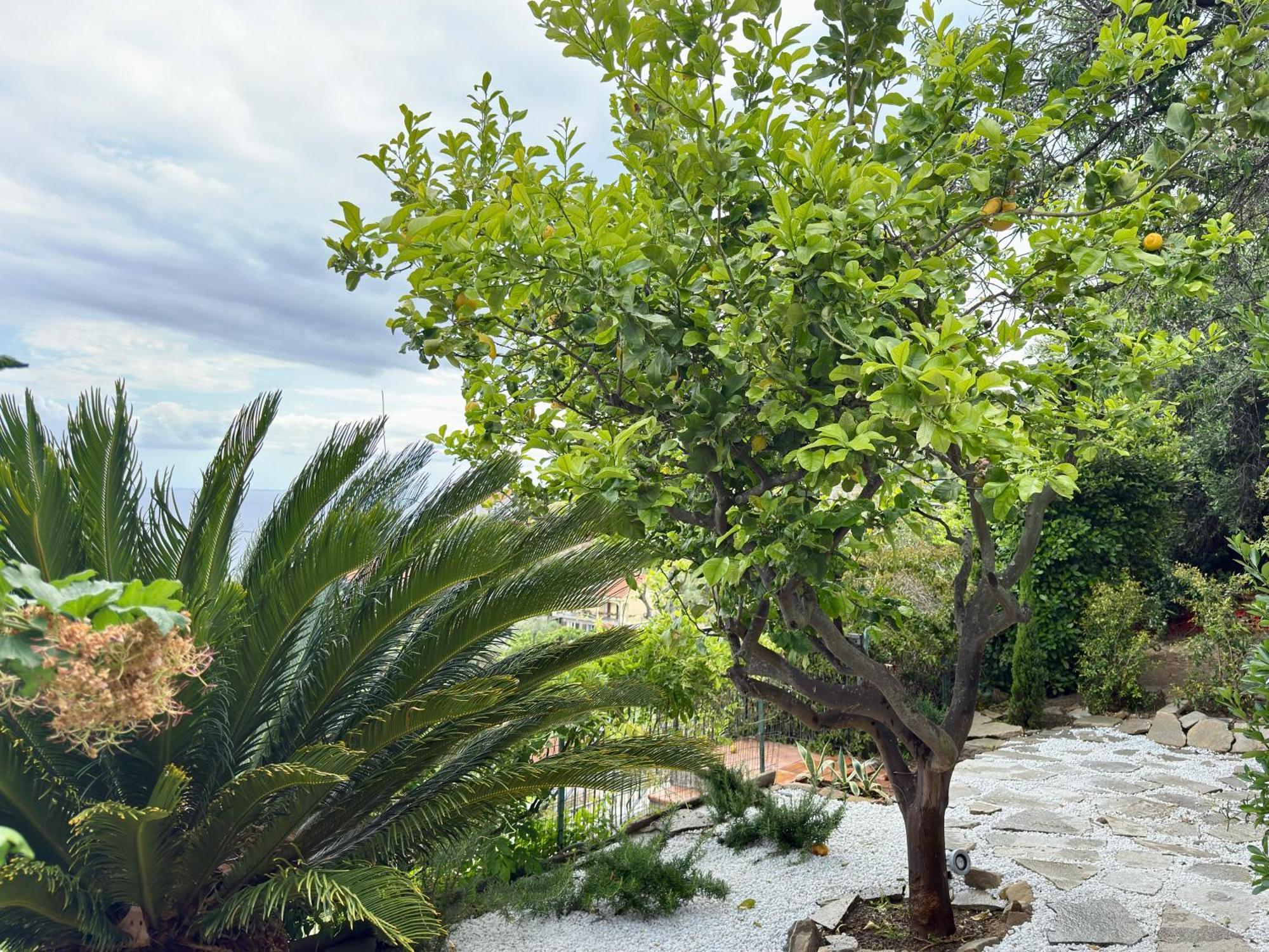 Villa Cielo Costarainera Exteriör bild